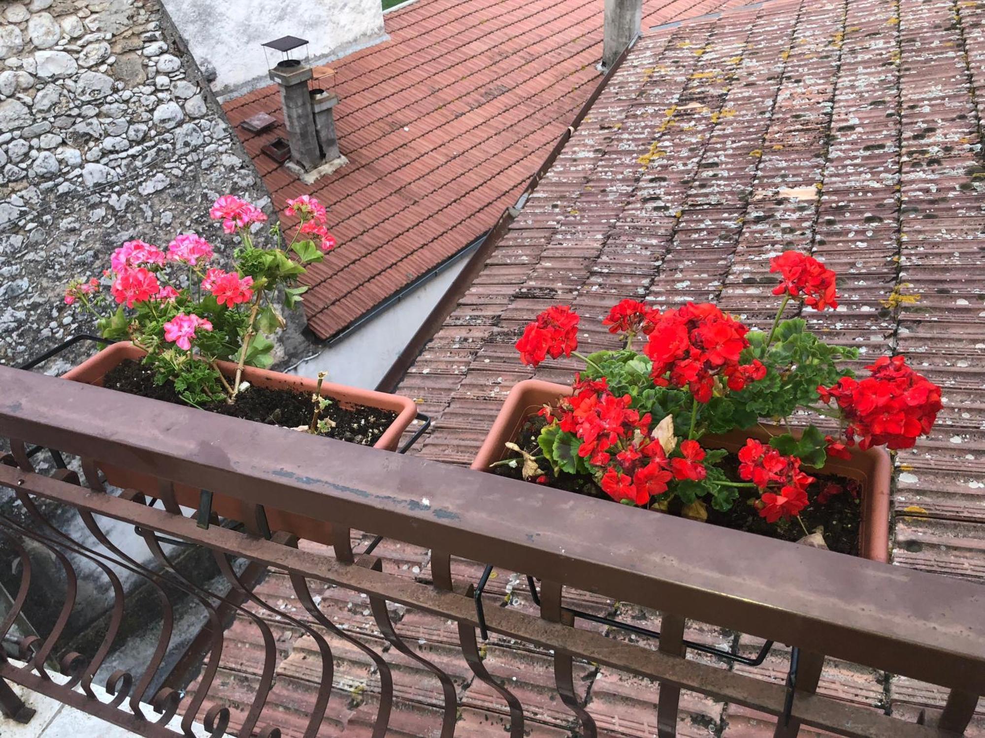 Bed And Breakfast Il Cavaliere Pozzilli ภายนอก รูปภาพ
