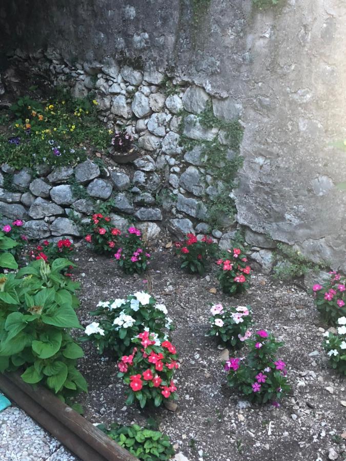 Bed And Breakfast Il Cavaliere Pozzilli ภายนอก รูปภาพ